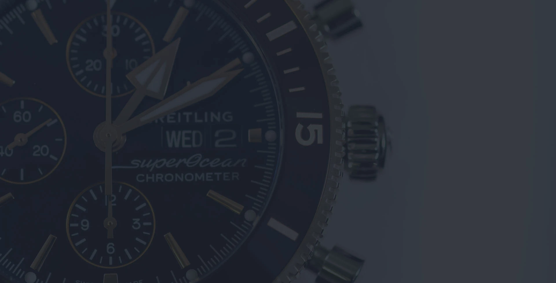 Watch shop software